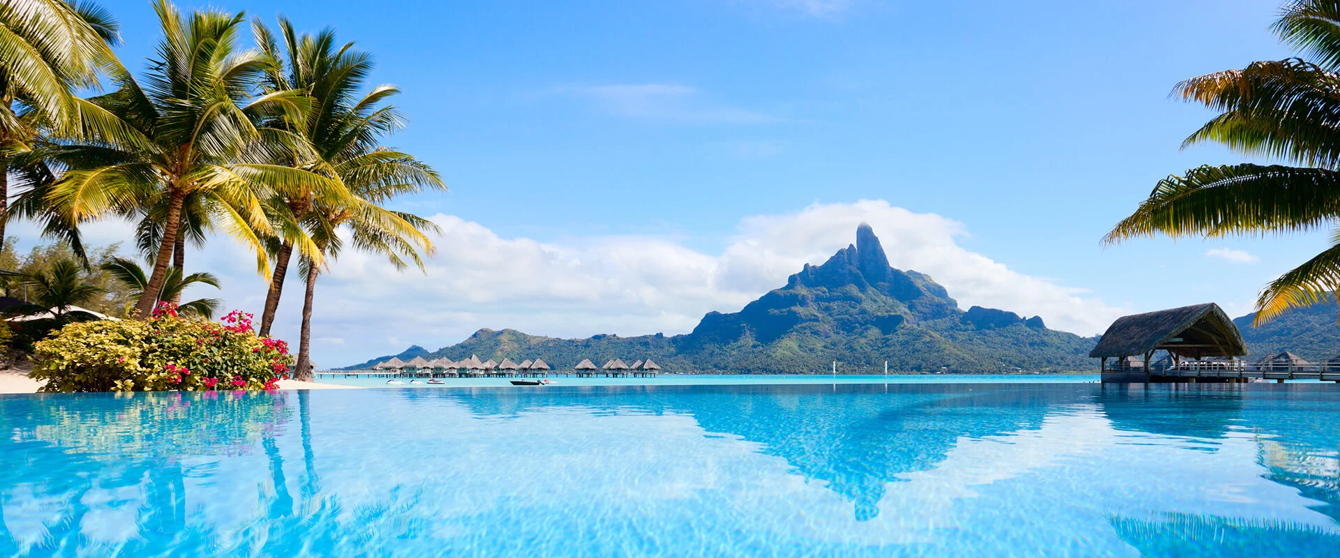 Stars on Board - Banner - H (2)