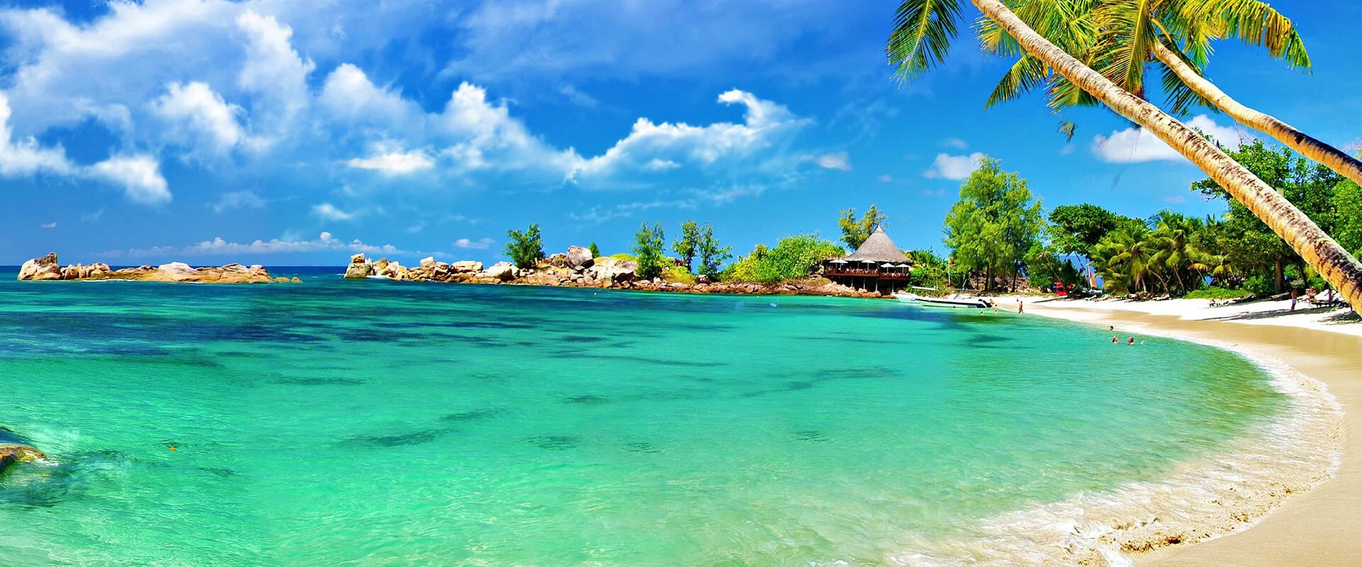 Stars on Board - Banner - H (6)